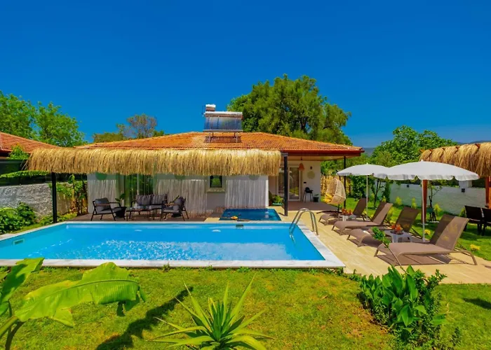 Macblue * 费特希耶