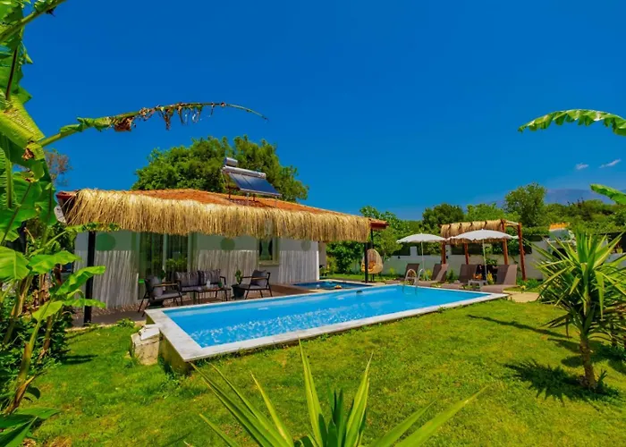 Macblue * 费特希耶